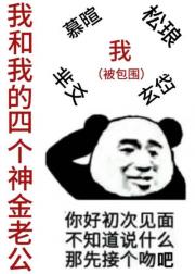 我和我的四个神金老公