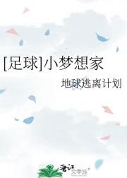 [足球]小梦想家