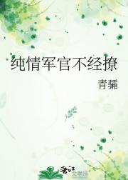 纯情军官不经撩