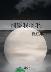别碰我羽毛