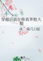 穿越后我在修真界抱大腿