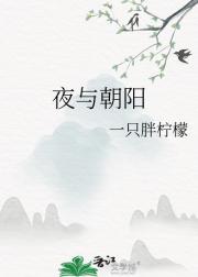 夜与朝阳