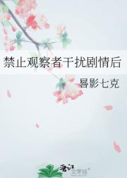 禁止观察者干扰剧情后