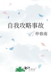 自我攻略事故