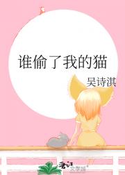 谁偷了我的猫