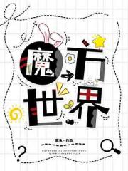 魔方世界