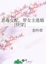 恶毒女配，带女主逃婚[快穿]