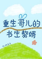 重生哥儿的书生赘婿