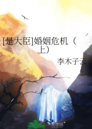 是大臣：婚姻危机（上）