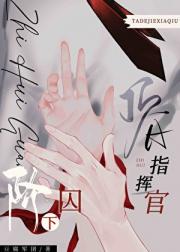 阶下囚，但标记了顶A指挥官