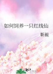 如何饲养一只红线仙