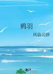 鸦羽