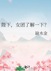 陛下，女团了解一下？