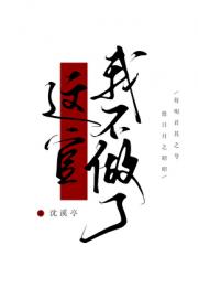 这官我不做了