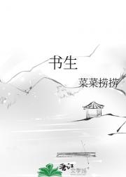 书生