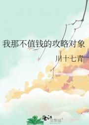我那不值钱的攻略对象