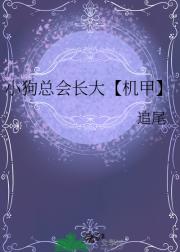 犬借人势又如何【机甲】