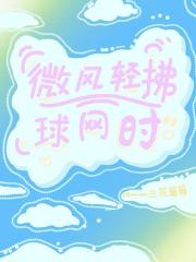 微风轻拂球网时