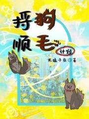 捋顺狗毛计划