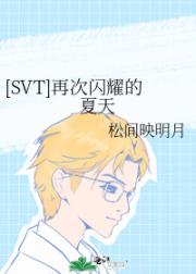 [SVT]再次闪耀的夏天