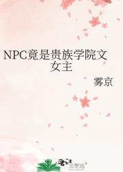 原来我是贵族学院文女主