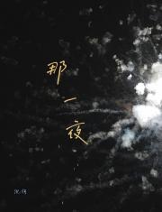 那一夜