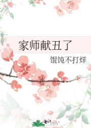 家师献丑了
