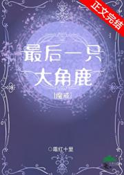 最后一只大角鹿[魔戒]
