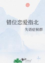 错位恋爱指北