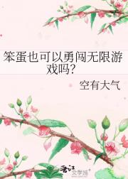 笨蛋也可以勇闯无限游戏吗？