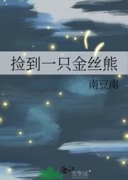 捡到一只金丝熊